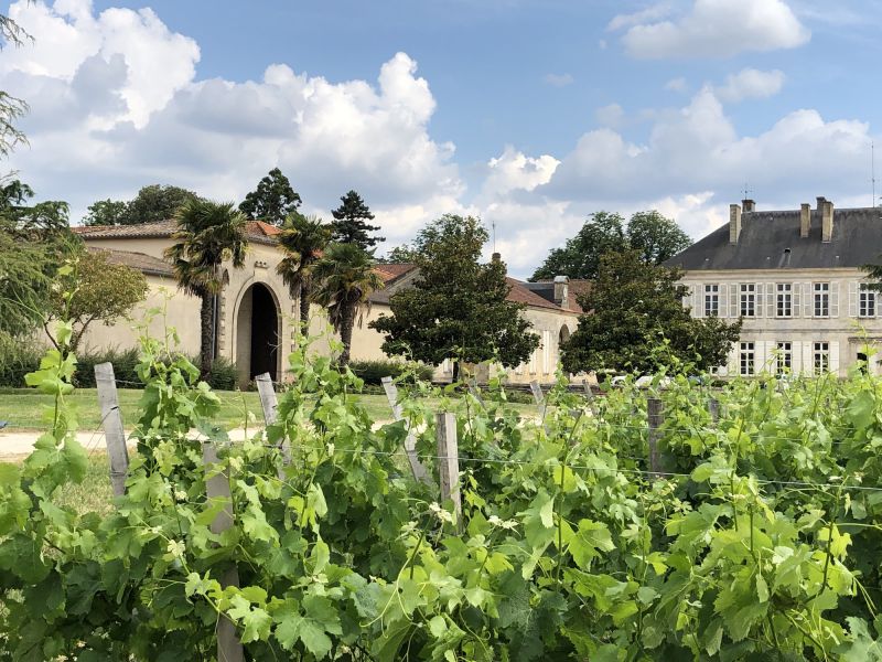 Domaine de plus de 80 ha dont 60 ha de vignes en AOC Bordeaux et Côtes de Bourg