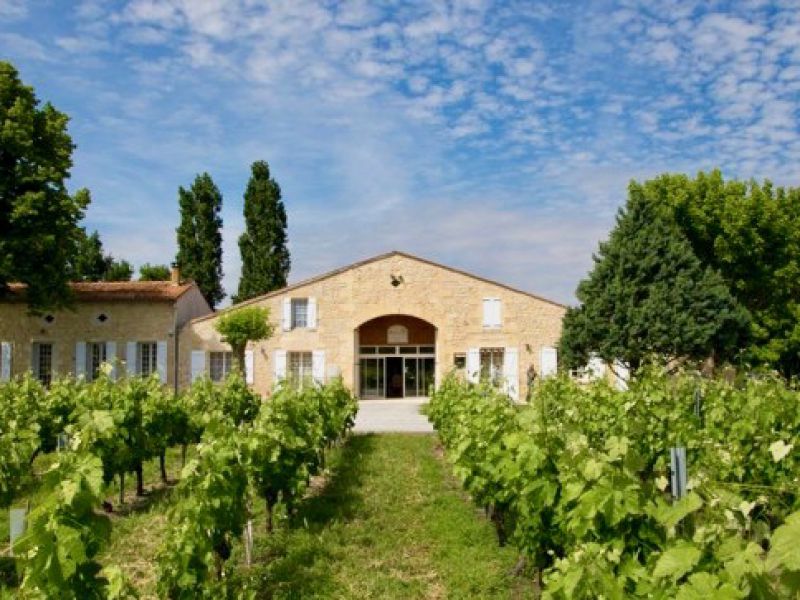 Belle propriété viticole remarquablement tenue en AOC Médoc